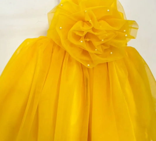 Tulle Fantasy!