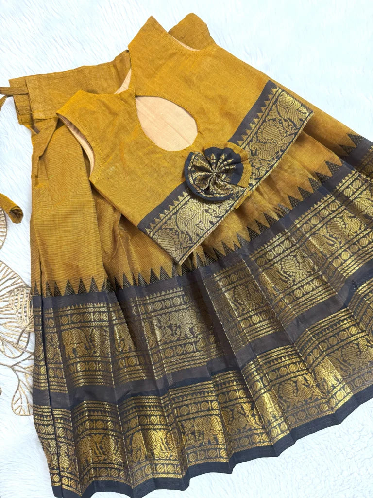 Kanchi Cotton!