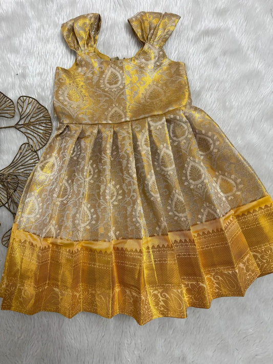 Golden Zari Radiance