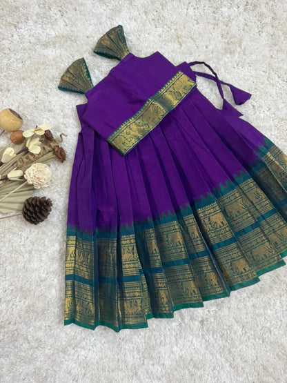 Kanchi cotton